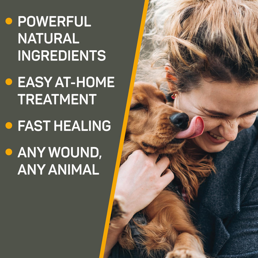 Absorbine Silver Honey Hot Spot & Wound Care Spray Gel for Dogs, Cats, Small Animals, 8oz Bottle