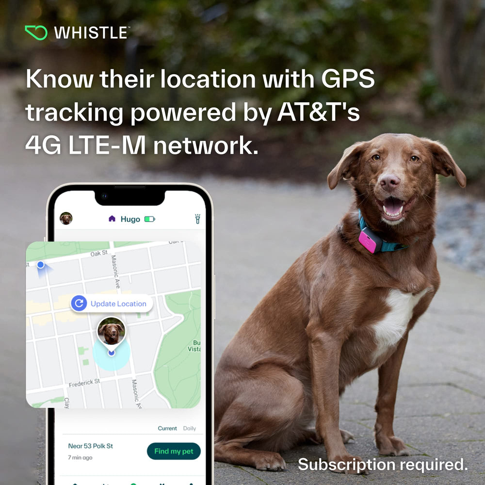GPS + Health + Fitness - Ultimate Dog GPS Tracker Plus Dog Health & Fitness Monitor, Waterproof, Safe Place Escape Alerts, Built-in Night Light,Fits on Dog Collar, GO Explore, Magenta