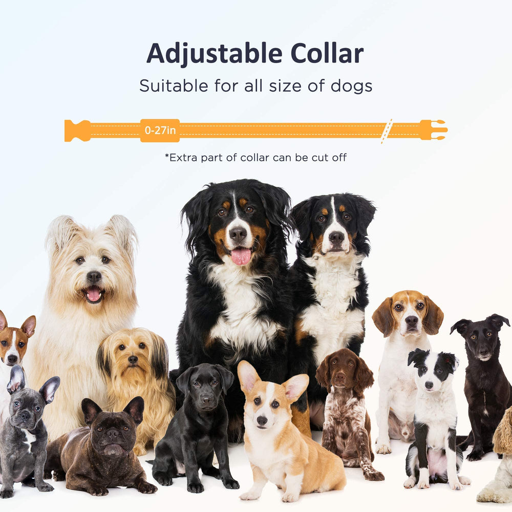 680A Rechargeable Waterproof Training Shock Collar with 3,000 Foot Range Remote and 3 Safe Training Modes for All Dog Sizes 8 to 120 Pounds