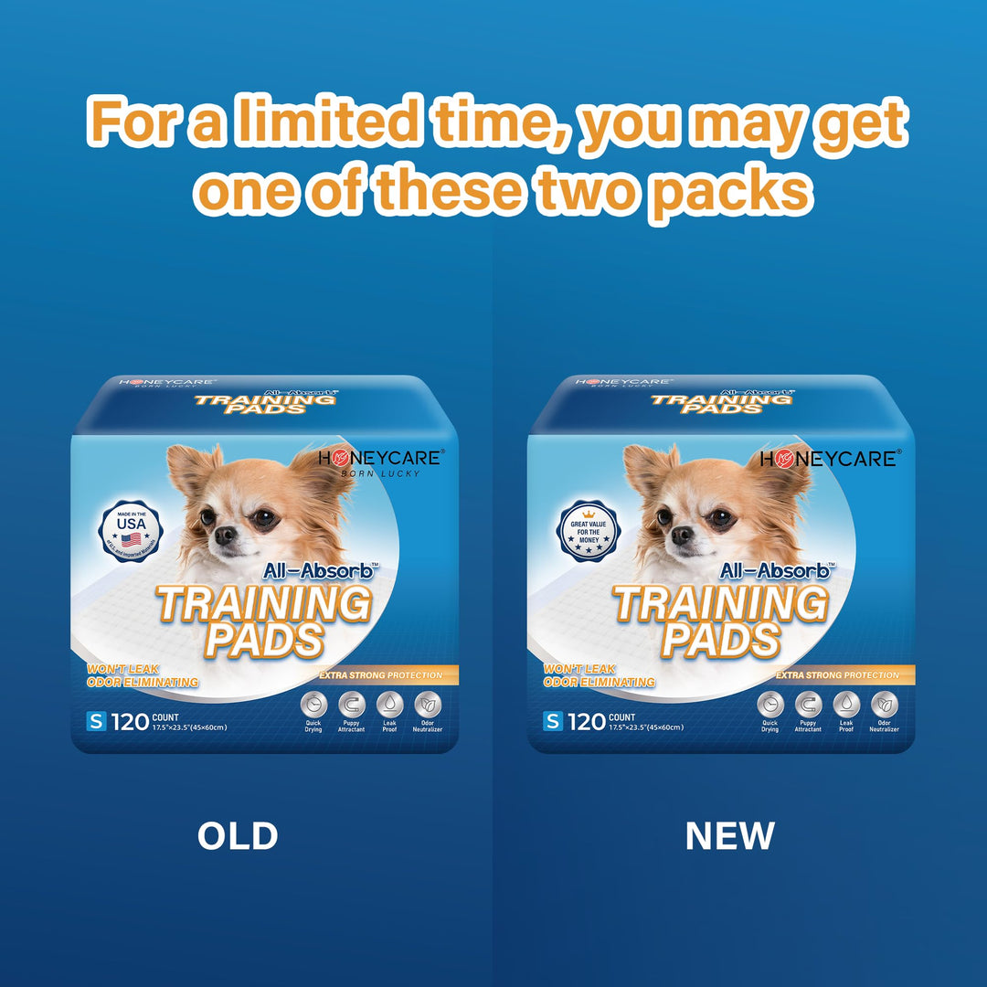 Honey Care All-Absorb, Small 17.5 x 23.5, 120 Count, Dog and Puppy Training Pads, Ultra Absorbent and Odor Eliminating, Leak-Proof 5-Layer Potty Training Pads with Quick-Dry Surface, Blue, A05