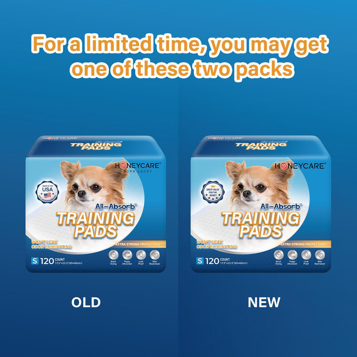 Honey Care All-Absorb, Small 17.5 x 23.5, 120 Count, Dog and Puppy Training Pads, Ultra Absorbent and Odor Eliminating, Leak-Proof 5-Layer Potty Training Pads with Quick-Dry Surface, Blue, A05