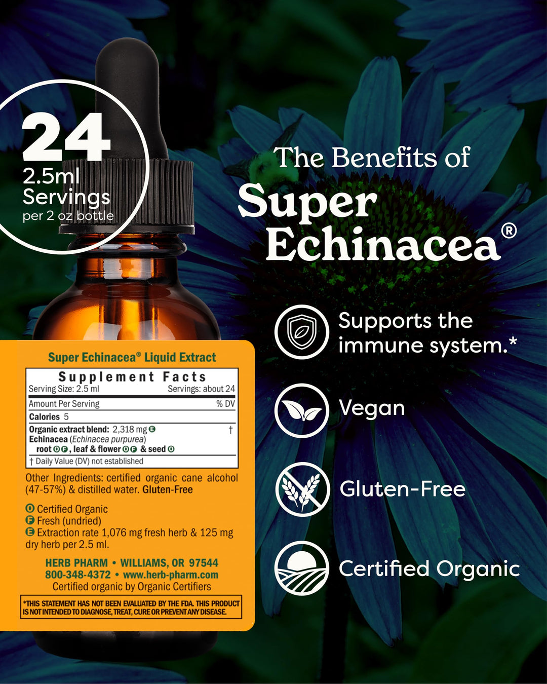 Certified Organic Super Echinacea Liquid Extract Drops for Active Immune System Support, 2 Oz