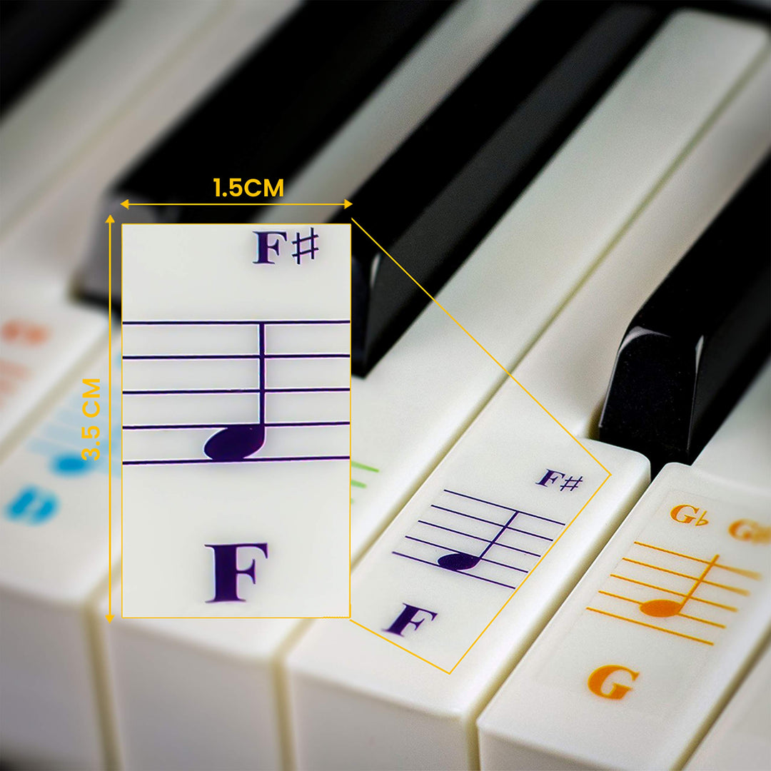 Piano Keyboard Stickers for 88/76/61/54/49/37 Key Large Letter Piano Stickers for Learning, Removable Piano Keyboard Letters, Notes Label for Beginners and Kids, Made in USA