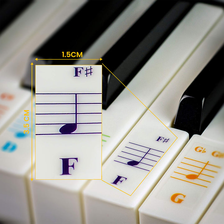 Piano Keyboard Stickers for 88/76/61/54/49/37 Key Large Letter Piano Stickers for Learning, Removable Piano Keyboard Letters, Notes Label for Beginners and Kids, Made in USA