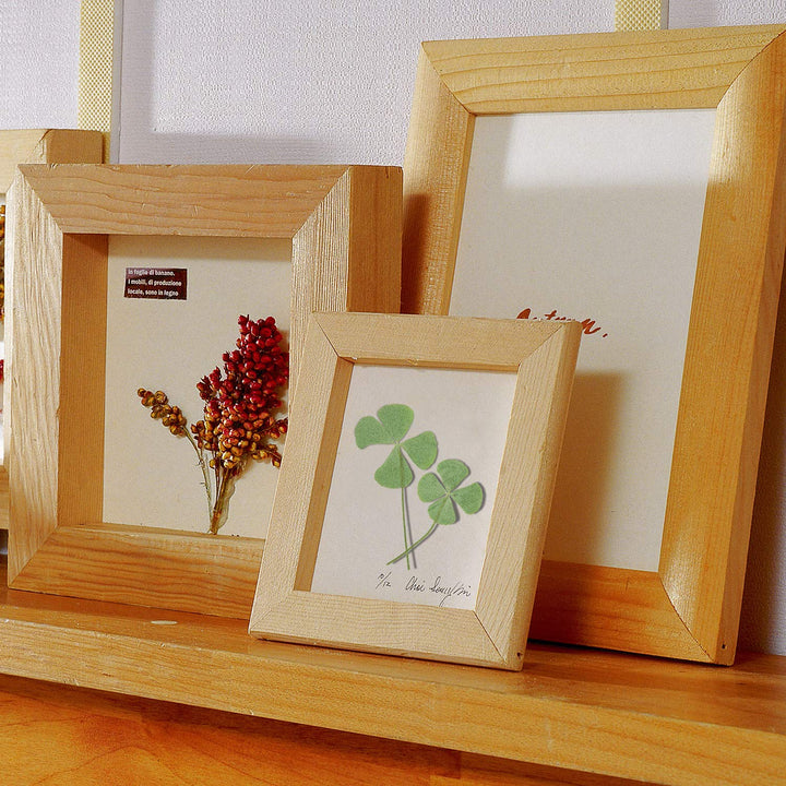 KKC 24 Pcs Four-Leaf Clover Natural Pressed Dried Leaves Real Leaf Plant for DIY Jewelry Art Craft