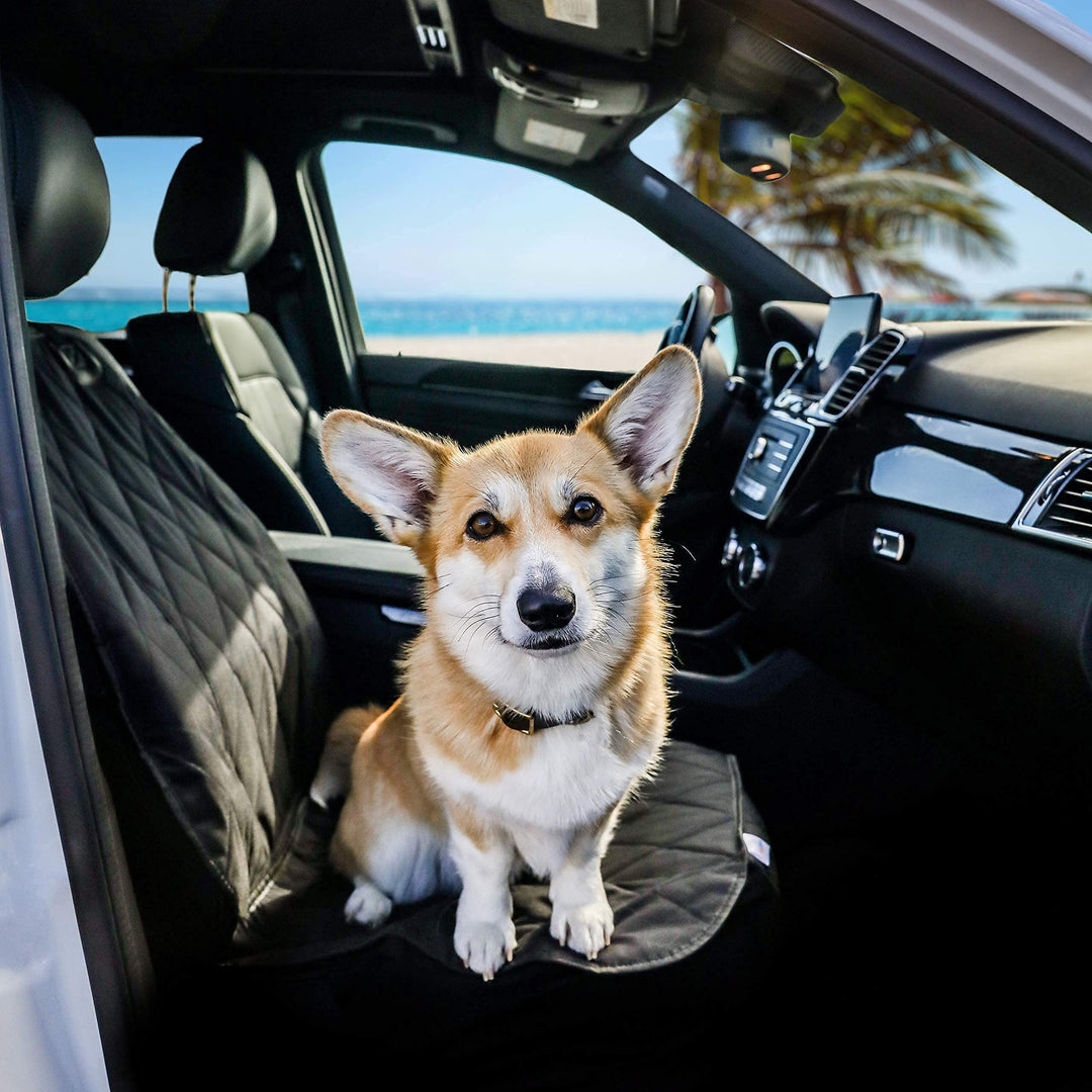 Pet Padded Scratchproof Front Seat Cover with Seat Anchor for Cars, Trucks, &amp; SUVs, Water Resistant, Machine Washable &amp; Non-Slip - Quilted Black