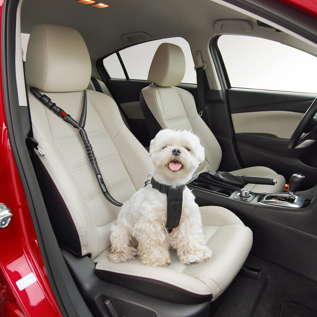 Dog Seat Belt Harness for Car - 2-in-1 Leash and Restraint Secures to Headrest. Adjustable Bungee, Strong, Durable, 360 Degree Swivel Attach Won&#39;t Twist, Reflective, Easy to Use (Black, 1PACK)