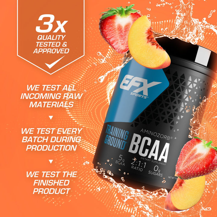 EFX Sports Training Ground BCAA | Fully Stable, Highly Soluble Amino Acids Supplement | Pre, Intra, or Post Workout | Sugar Free | 500 Grams (Strawberry Peach)