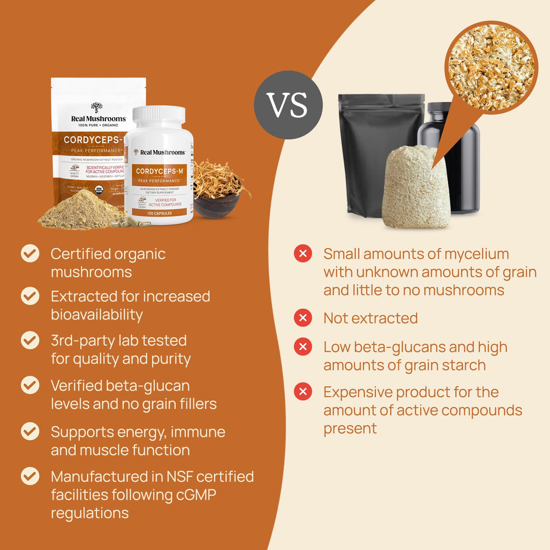 Cordyceps Mushroom Extract Powder - 60G