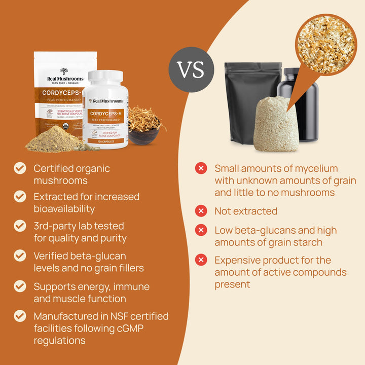 Cordyceps Mushroom Extract Powder - 60G