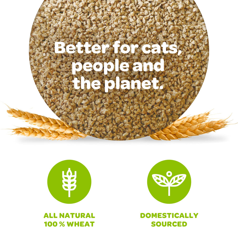 Natural Wheat Multi-Cat Litter, Superior Clumping with Odor Neutralizing Enzymes, 36 Pound Bag