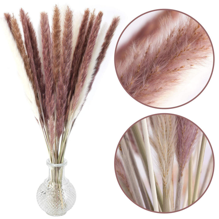 DomeStar 36PCS Pampas Grass, Natural Dried Pampas Reed Grass Plume Wedding Flower