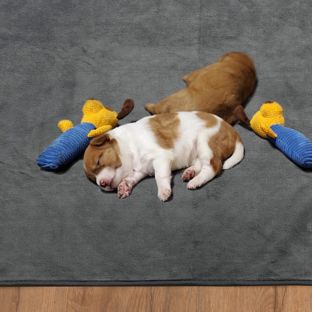 Puppy Pads Washable 2 Pack, 41x41 Washable Dog Pee Pads Whelping Pads, Absorb Dog Mats, Non-Slip Dog Training Pads for Whelping, Potty, Training, Playpen, Crate