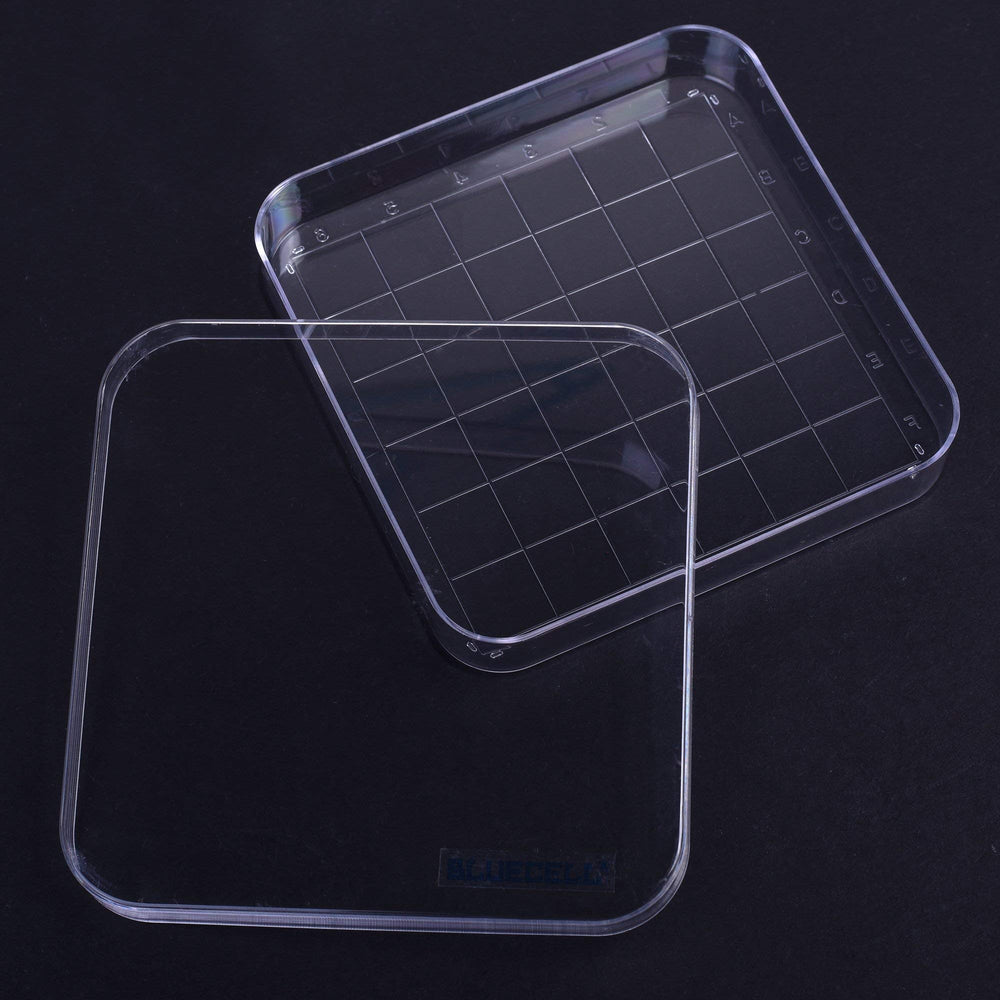 BCP 10 Pcs 36 Grid Squares Plastic Petri Dishes with Co