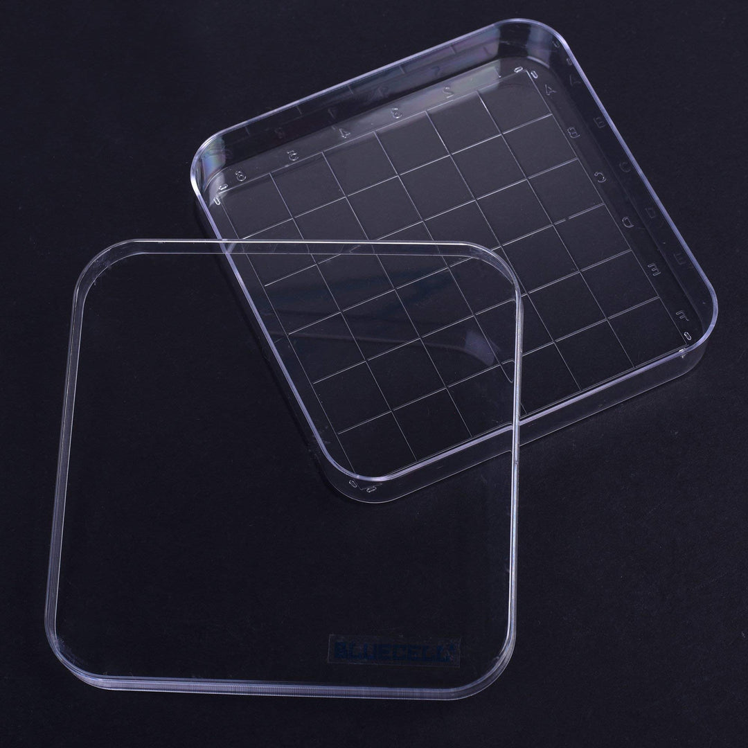 BCP 10 Pcs 36 Grid Squares Plastic Petri Dishes with Co