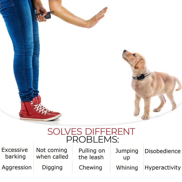 Extra Small Size Dog Training Collar with Remote for Small Dogs 5-15lbs and Puppies with Shock - Waterproof and 1000 Ft Range