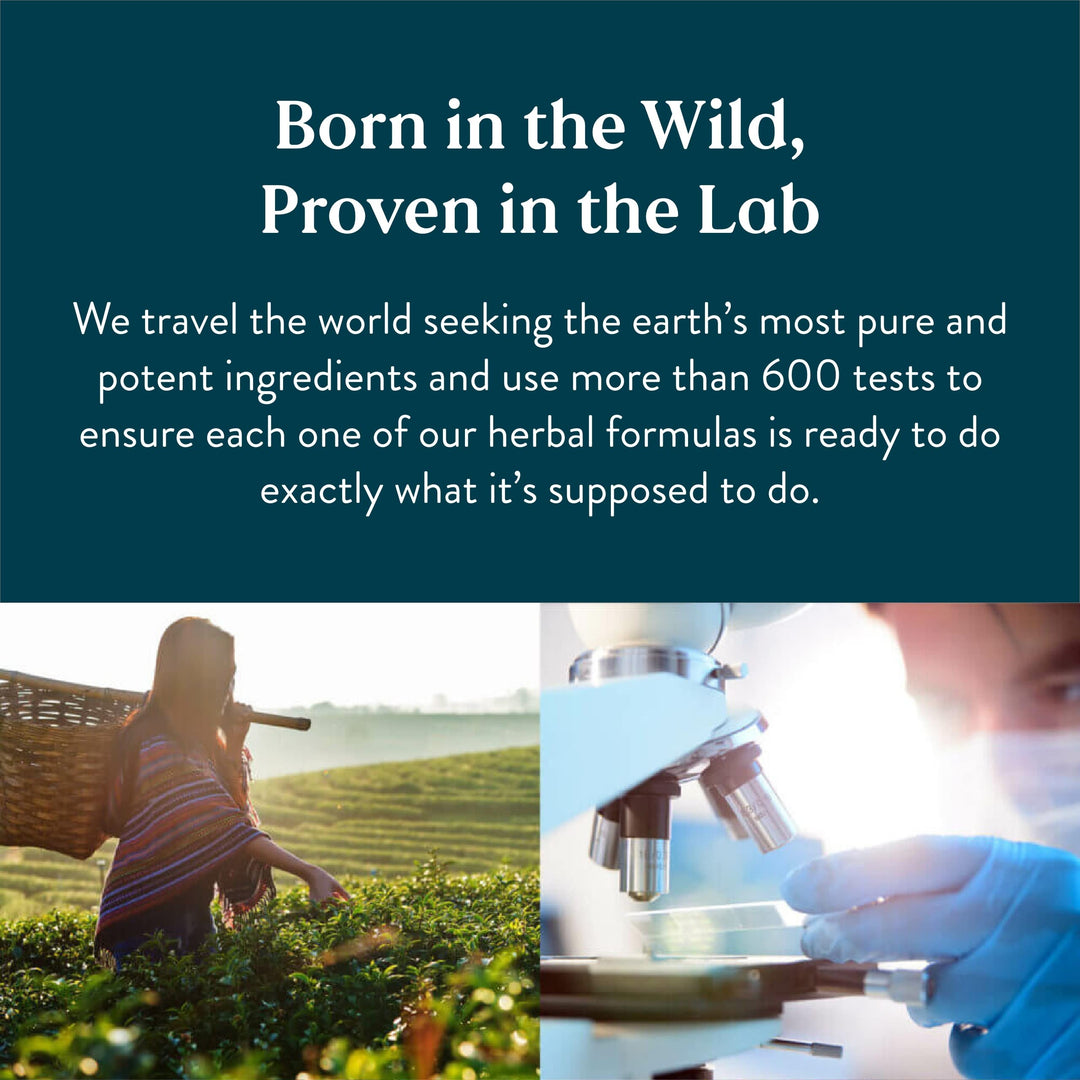 Natures&#39;s Sunshine Stress Relief, Chinese TCM Concentrate, 30 Capsules | Nourishes the Nervous System, May Optimize Gastric Function, and Supports Circulatory Health