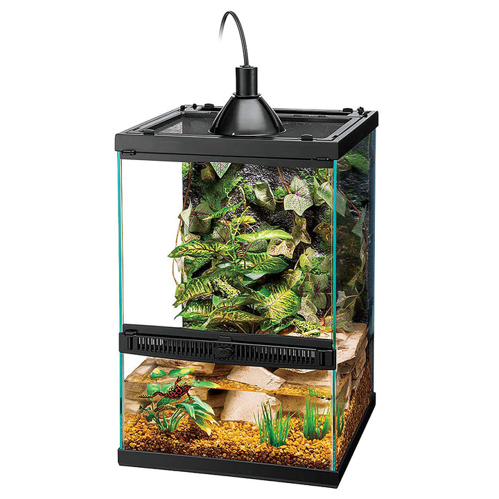 11 Gallon Glass Tropical Vertical Habitat Starter Kit for Small Tree Dwelling Reptiles &amp; Amphibians