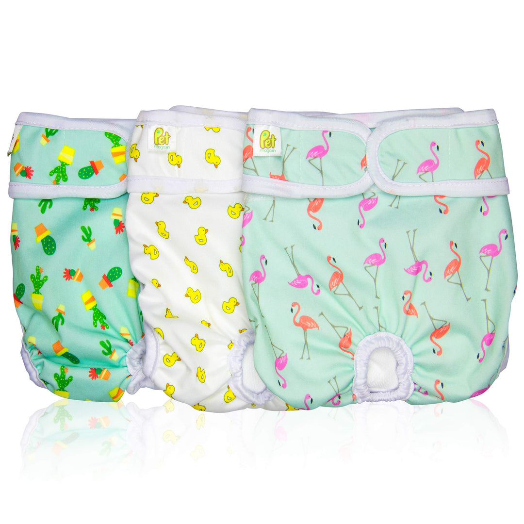 Pet Magasin Reusable Washable Dog Diapers (Pack of 3), Highly Absorbent with Strong &amp; Flexible Closure (Trending, Medium (14”-20” Waist))