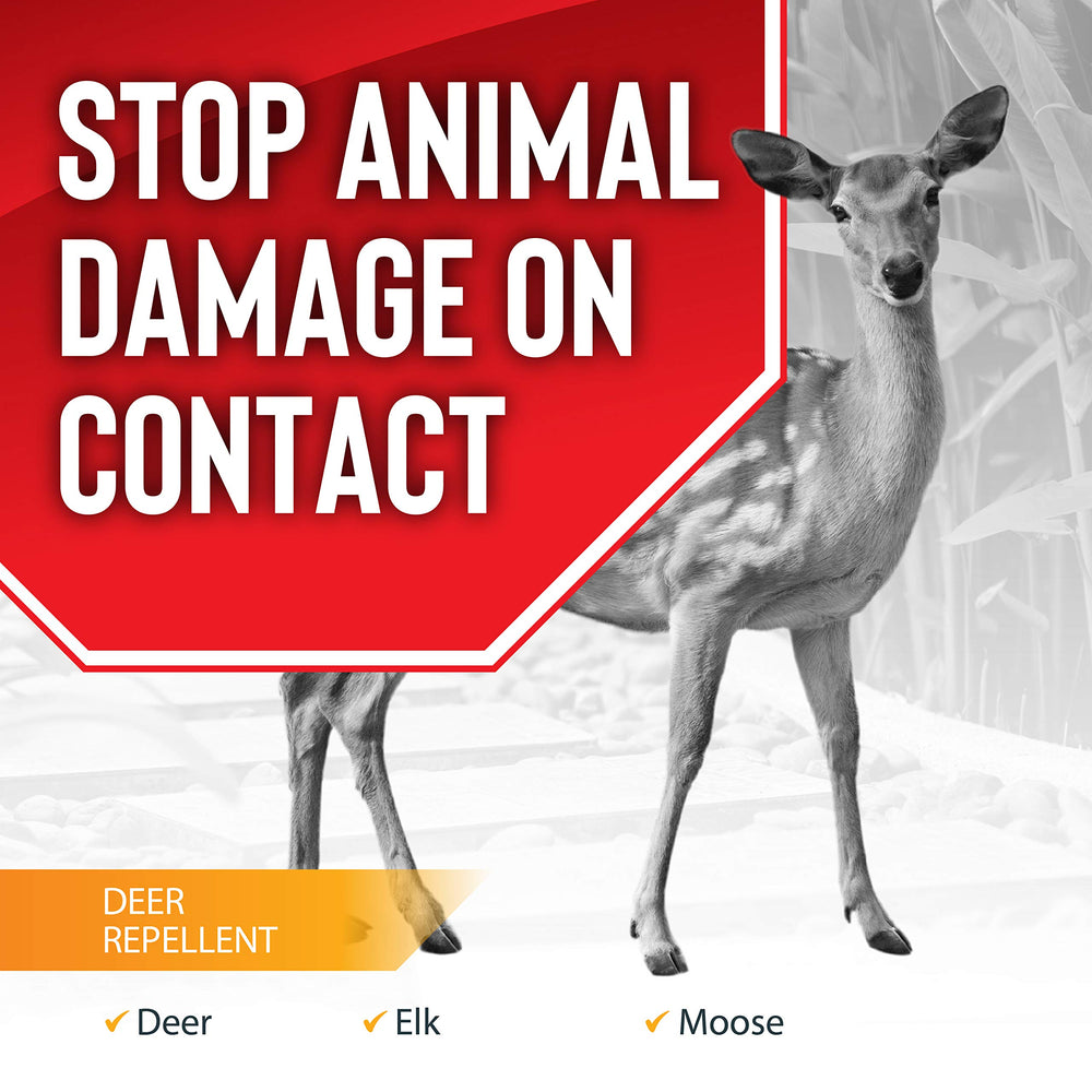 , Liquid Animal Stopper Repellent, All Natural, Effective All Year Round, Safe for People and Pets, No Harsh Chemicals, Ready to Use, Deer & Moose Repellent - Gallon Trigger