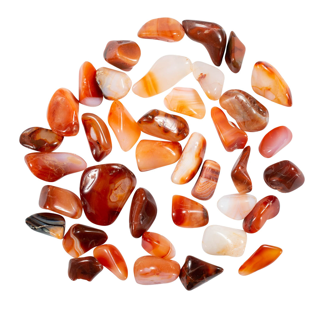 The Chrysalis Stone Tumbled Carnelian - Healing Stone, 