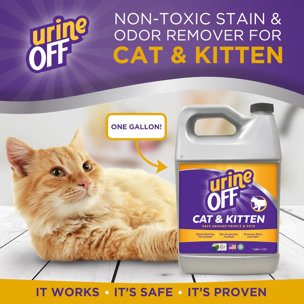 Urine Off Kitten & Cat Pet Stain Remover | Fresh Scent Carpet Cleaner | Bio Enzymatic Stain & Urine Odor Eliminator | Pet Safe Cleaner | 1 gal.
