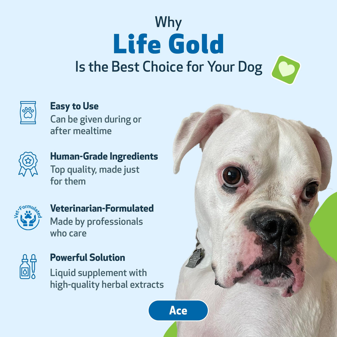 Life Gold for Dogs - Vet-Formulated - Immune Support and Antioxidant Protection - Natural Herbal Supplement 2 oz (59 ml)