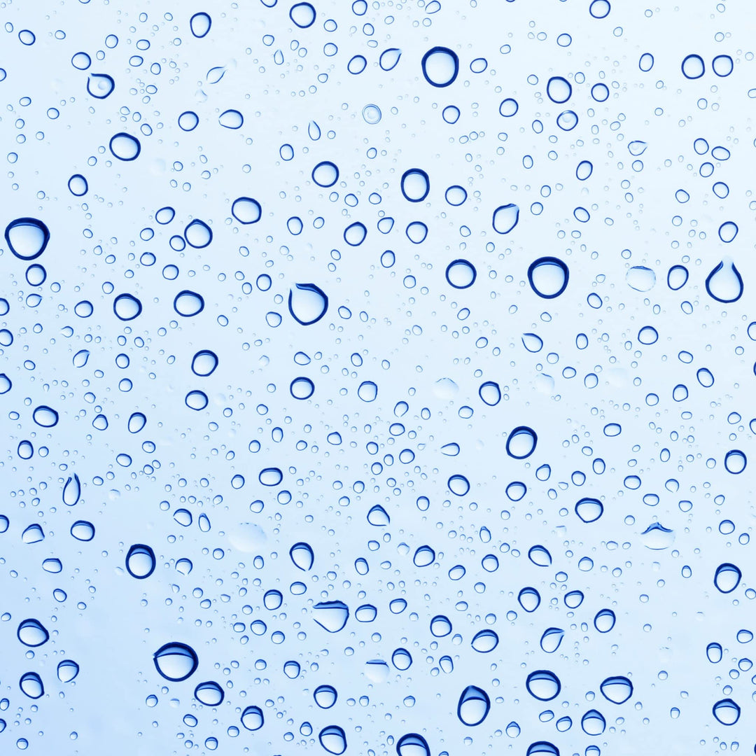 SUNDÃRI Omega 3 and Raspberry Tonic Water