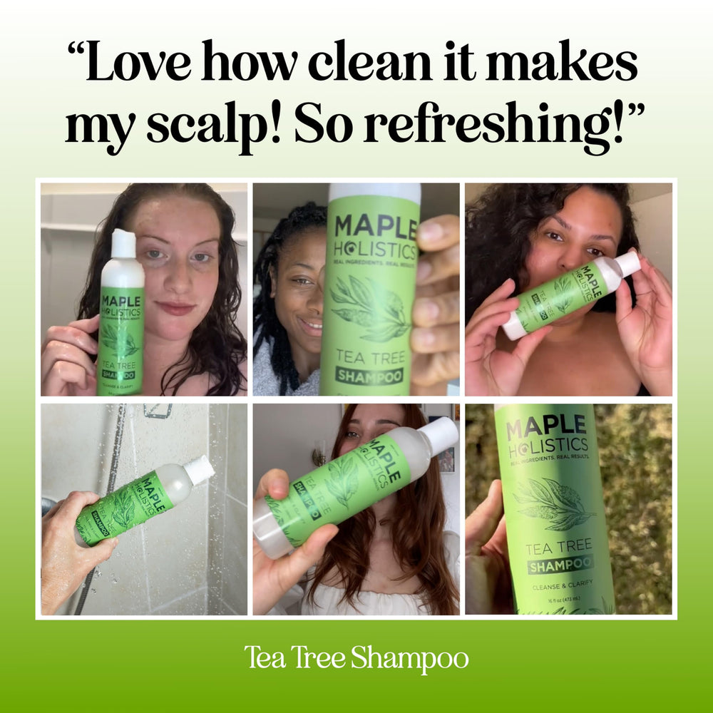 Clarifying Shampoo for Build Up & Oily Hair - Tea Tree Shampoo for Men and Women with Rosemary Essential Oil for Oily Hair and Scalp - Color Safe Vegan Sulfate Silicone & Paraben Free (16 Fl Oz)