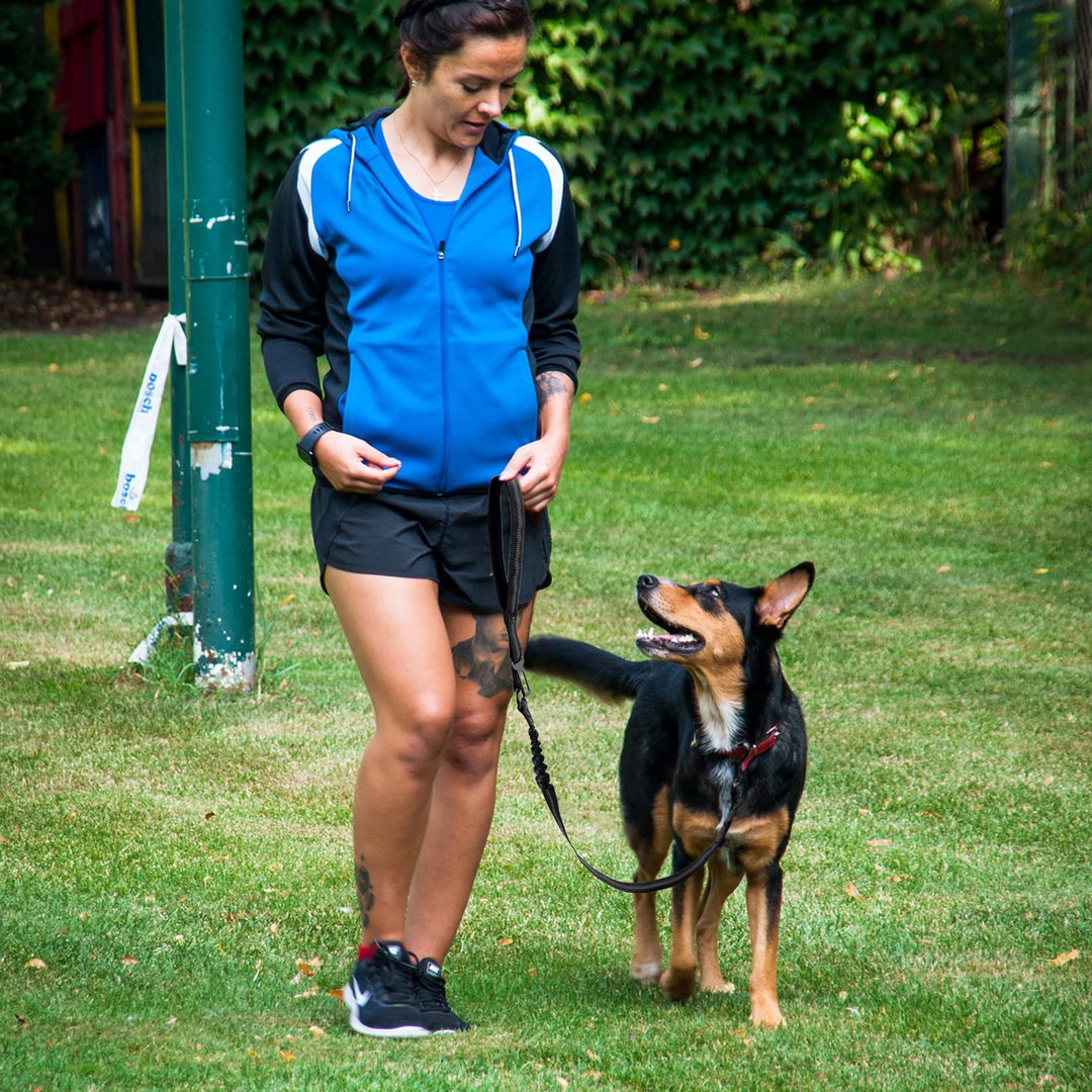4.0 FT Bungee Dog Leash for Small, Medium and Large Dogs, Reflective Pet Training Long Traffic Leash with Car Seat Belt. (Small, Black)