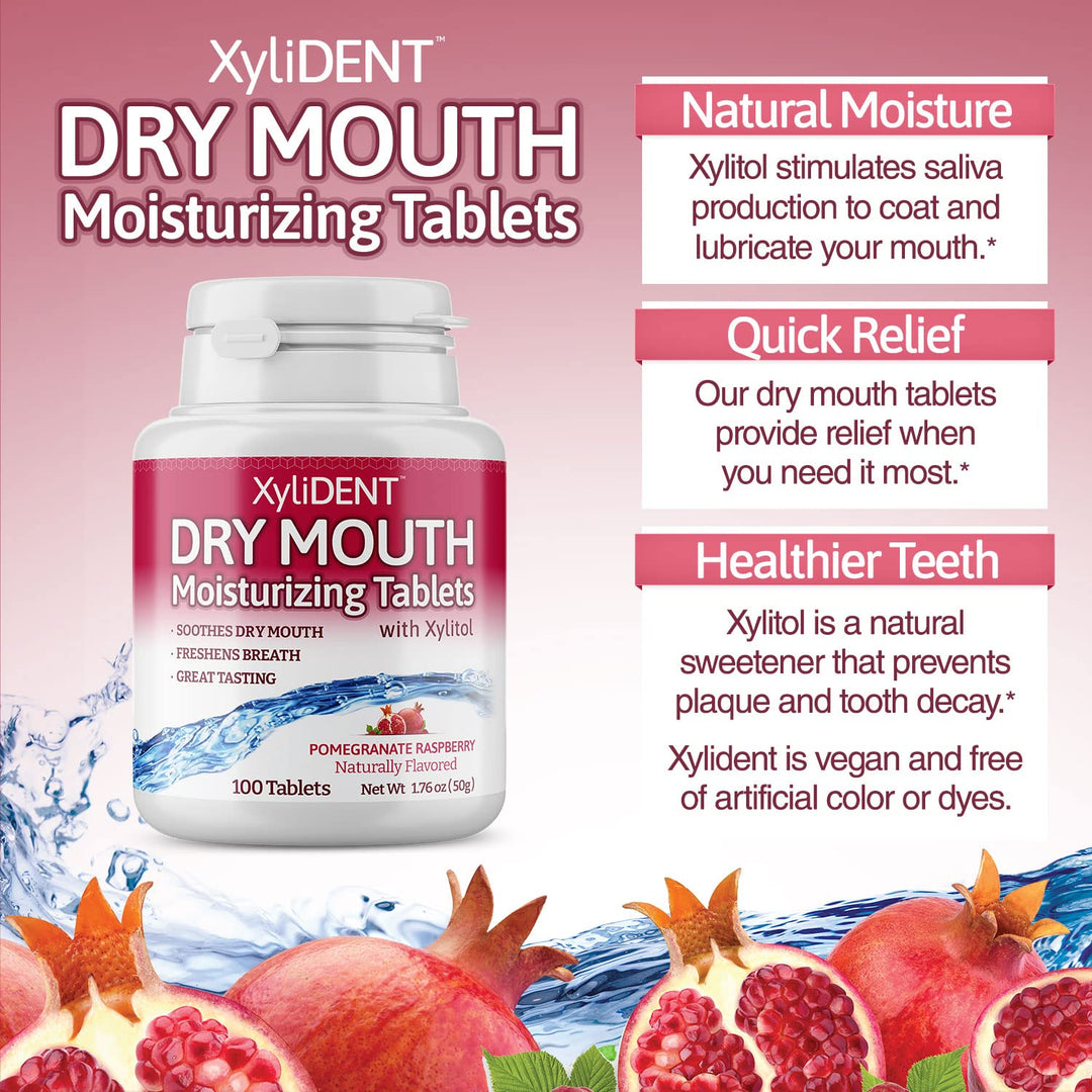 Nature&#39;s Stance XyliDENT Xylitol Tablets for Dr