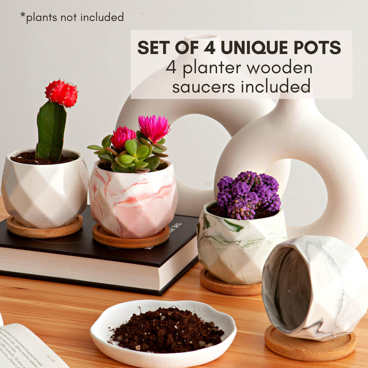 Succulent Pots Set of 6, Plant Pots Indoor, Succulent Planters, Small Plant Pots, Cactus Pot, Cute Plant Pots, Small Flower Pots, Small Succulent Pot, Small Planter Set