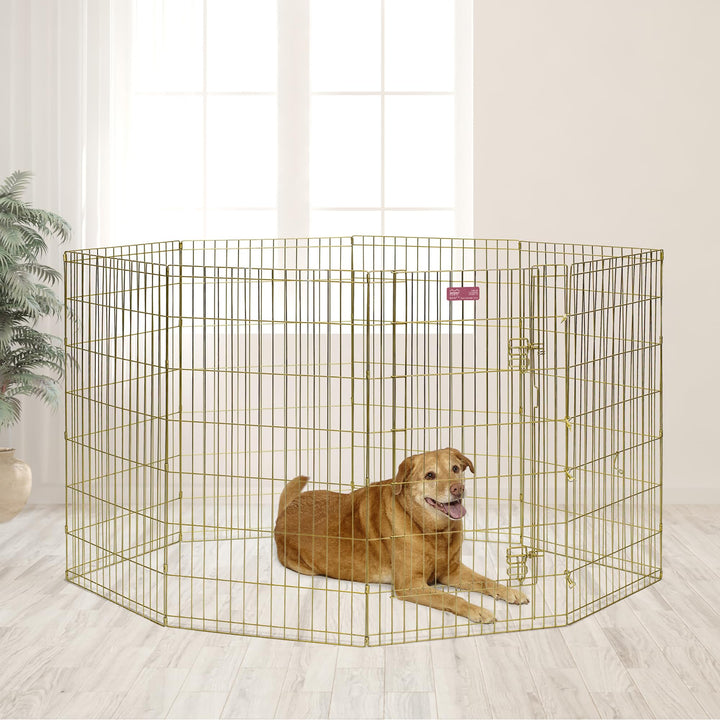 Dog Exercise Pen &amp; Playpen, 24 W x 42 H, No Door, Gold Zinc