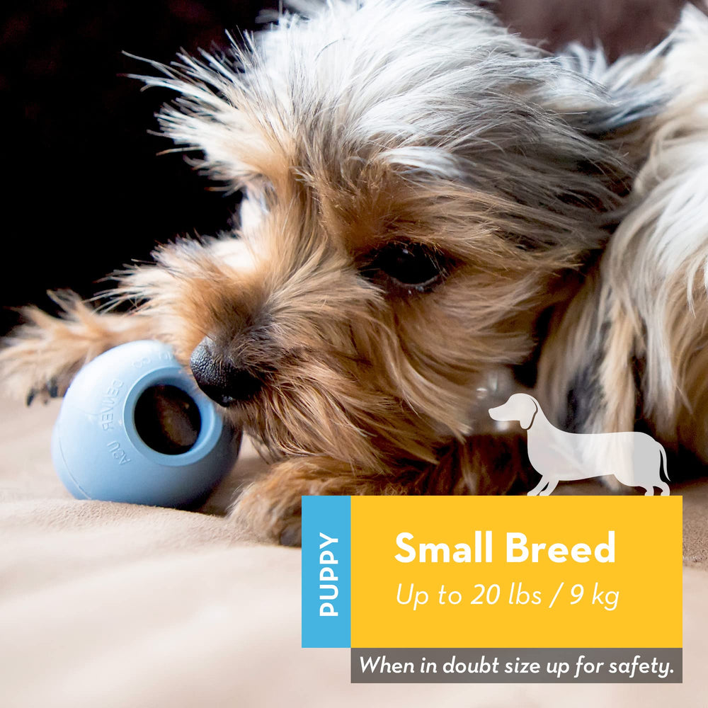 Puppy - Natural Teething Rubber Chew Toy for Dogs - Stuffable Dog Toy for Extended Playtime - Chew & Fetch Toy for Puppies - for Small Puppies - Blue