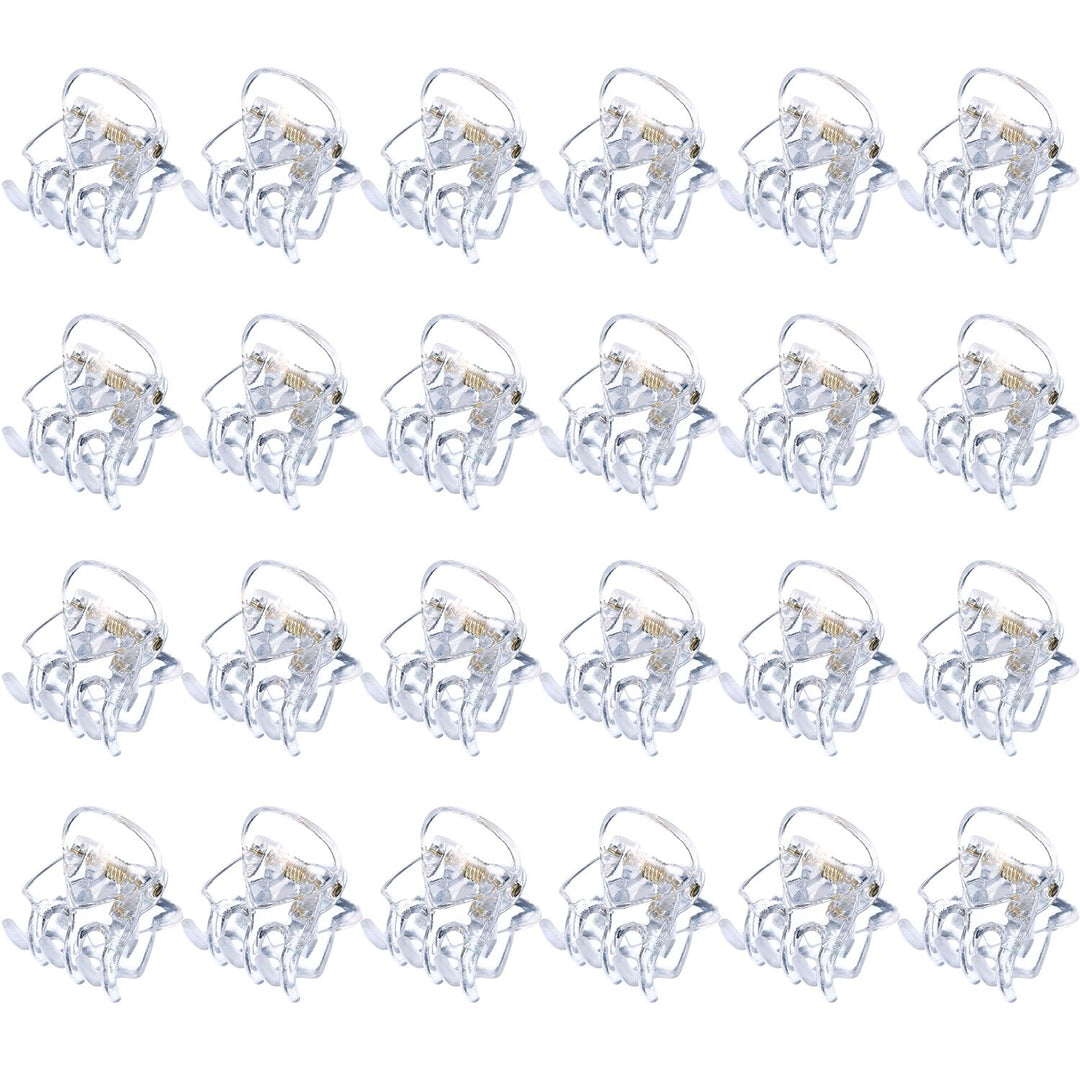 Clear: Hotop 24 Pieces Mini Hair Clips Plastic Hair Claws Pins Clamps For Girls And Women (Clear)