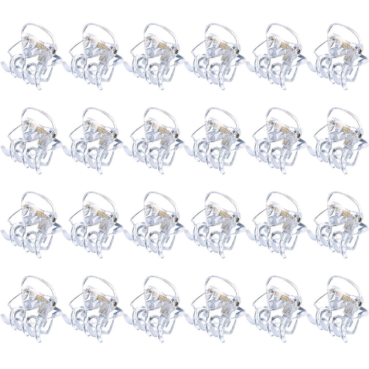 Clear: Hotop 24 Pieces Mini Hair Clips Plastic Hair Claws Pins Clamps For Girls And Women (Clear)