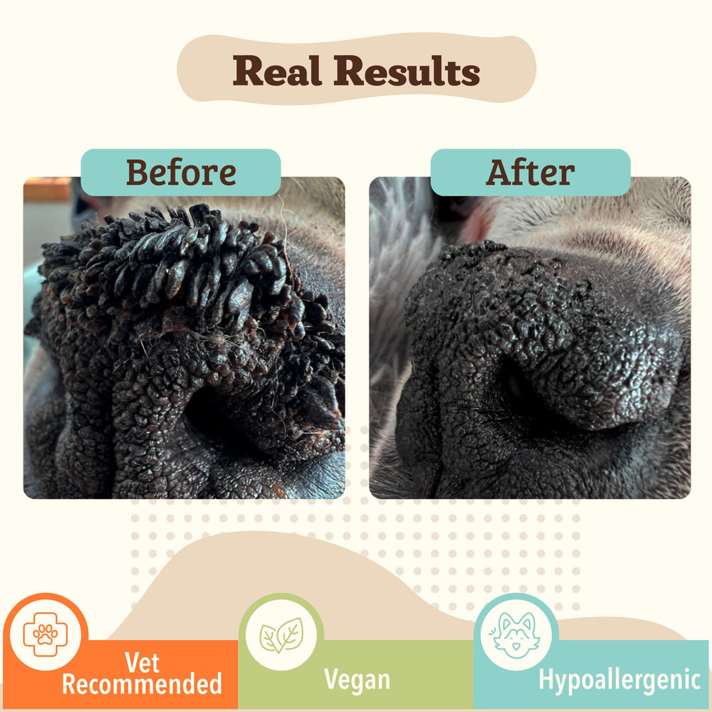 Snout Soother, Dog Nose Balm, Wax & Cream for Dry, Cracked Noses, Heals & Moisturizes with Shea Butter & Coconut Oil, Lick-Safe Nose Butter, Made in USA, 2 oz. Stick