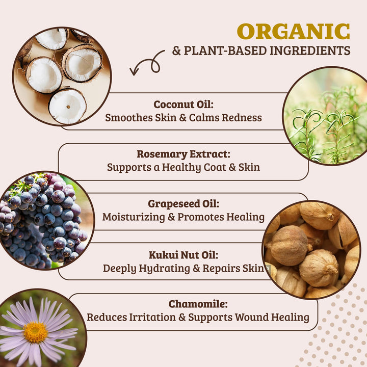 Snout Soother, Dog Nose Balm, Wax &amp; Cream for Dry, Cracked Noses, Heals &amp; Moisturizes with Shea Butter &amp; Coconut Oil, Lick-Safe Nose Butter, Made in USA, 2 oz. Stick