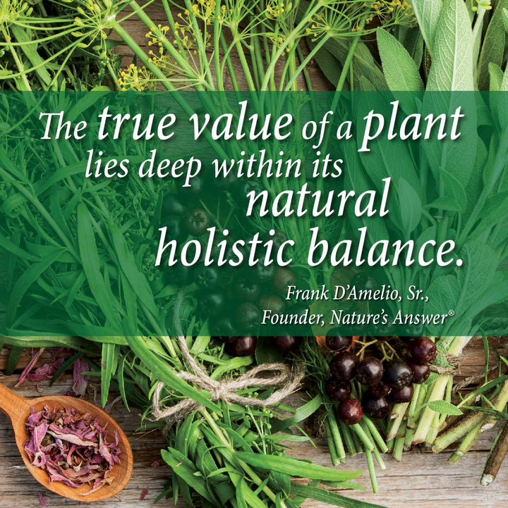 Natures Answer Black Walnut and Wormwood 1 oz 30mL 200mg. Extract, Liquid,promotes digestion,Vegetable Glycerin And Purified Water