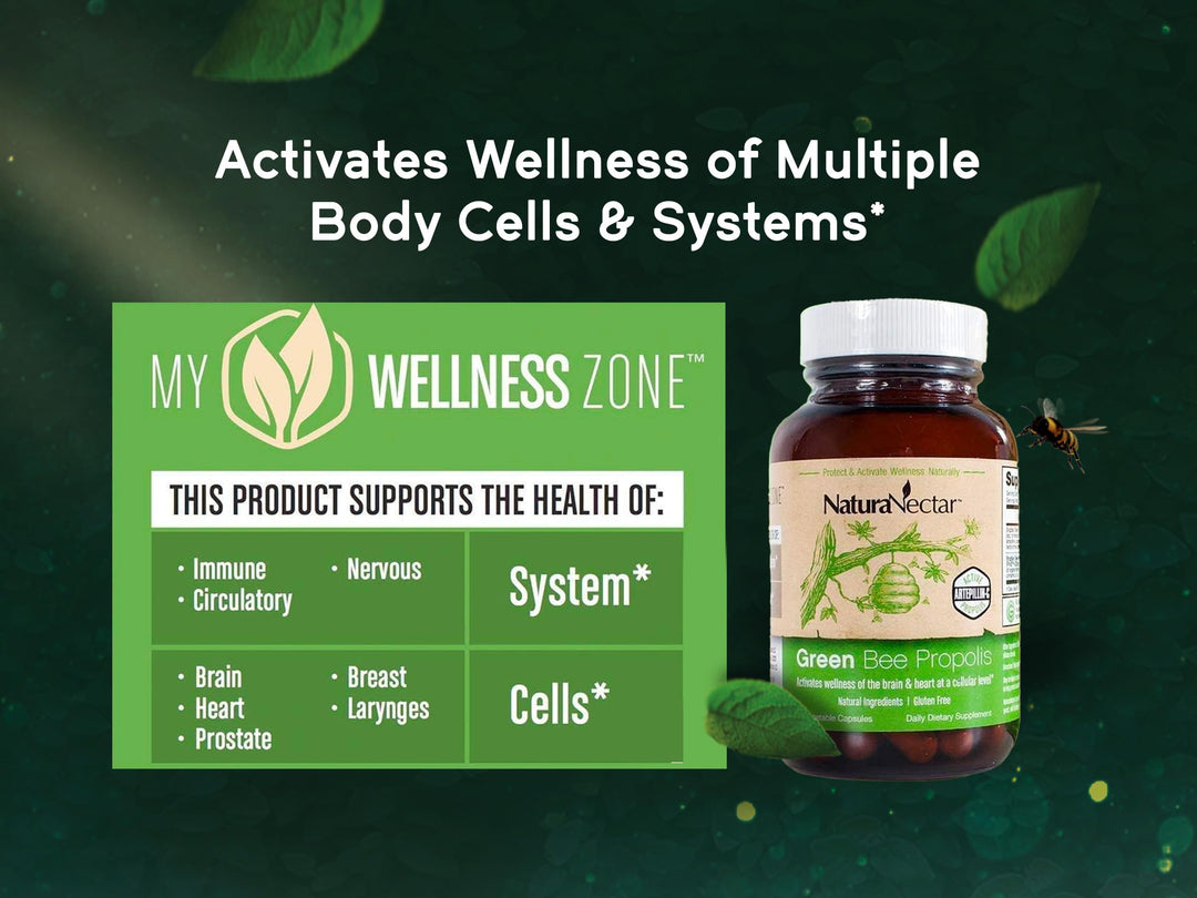 - Green Bee Propolis Capsules - NSF Contents Certified Brazilian Green Propolis - Gluten-Free Propolis Supplements with Flavonoids - Naturally Sourced Through Ethical Beekeeping (60pcs.)