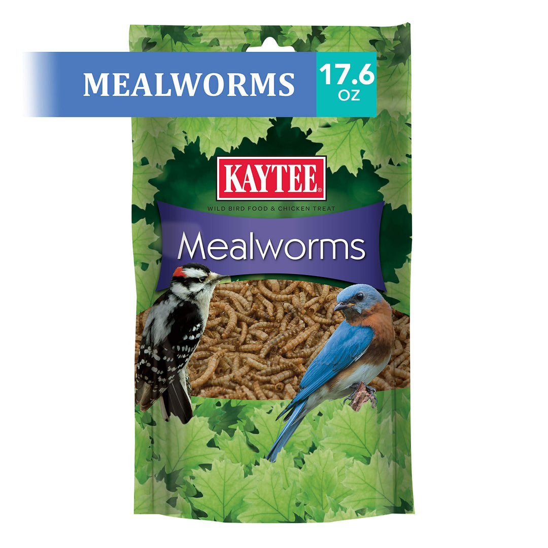 Wild Bird Food Mealworms For Bluebirds, Wrens, Robins, Chickadees, Woodpeckers, Cardinals &amp; Chickens, 17.6 Ounce