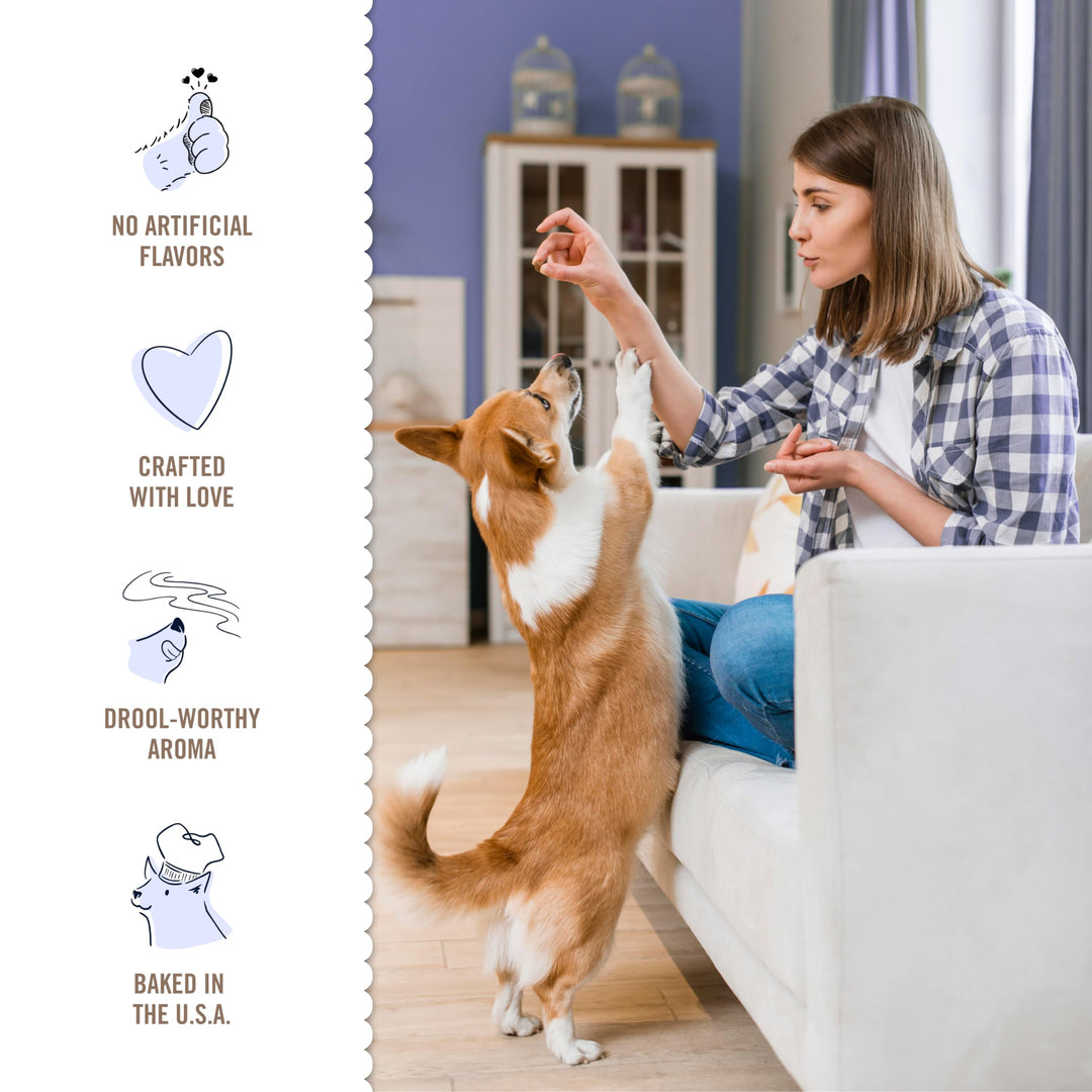 Grain Free Wafers Baked Dog Treats, Pumpkin, 13 oz