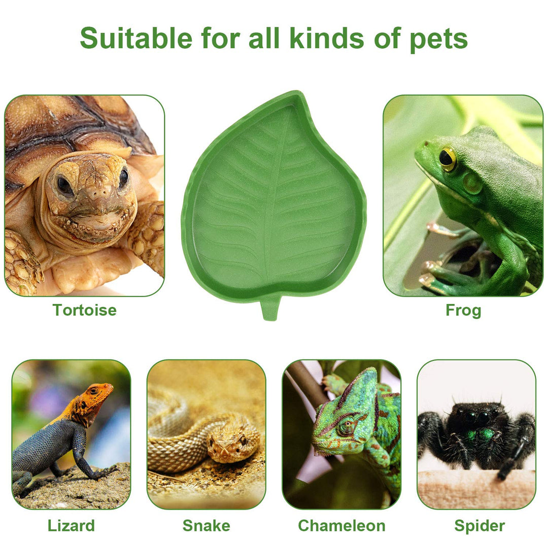 4 Pieces Leaf Reptile Food Water Bowl Plate Dish for Tortoise Corn Snake Crawl Pet Drinking and Eating, 2 Sizes