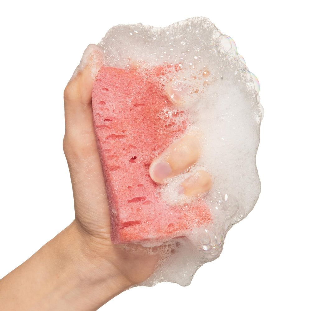 Avodari Body Wash in a Sponge Infused with Pure Bulgarian Rose Oil Rose Damascena 70 gr 2.5 oz