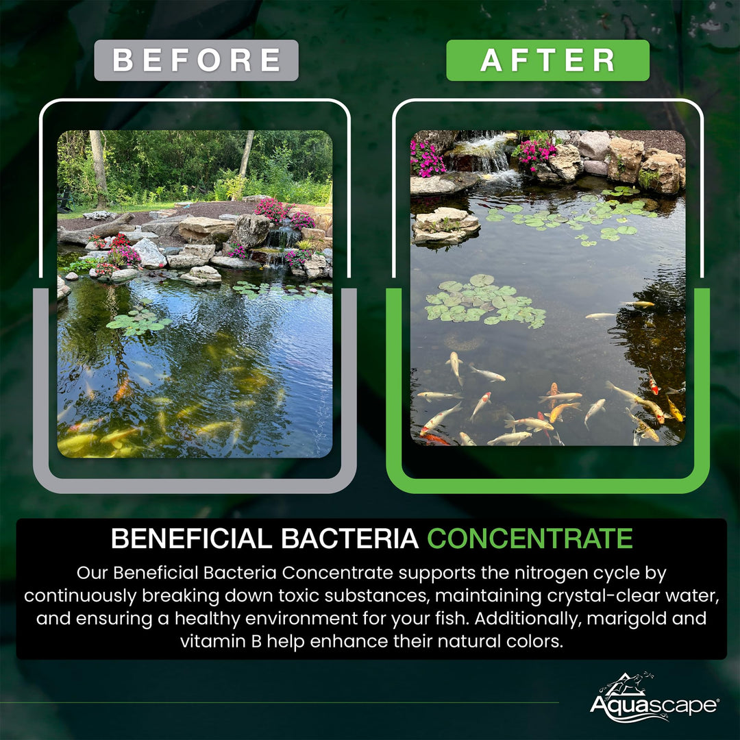 Beneficial Bacteria Concentrate for Pond and Water Features, 1.1-Pound | 98950