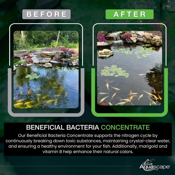 Beneficial Bacteria Concentrate for Pond and Water Features, 1.1-Pound | 98950