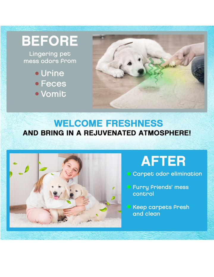 NonScents Carpet &amp; Rug Odor Eliminator - Safe &