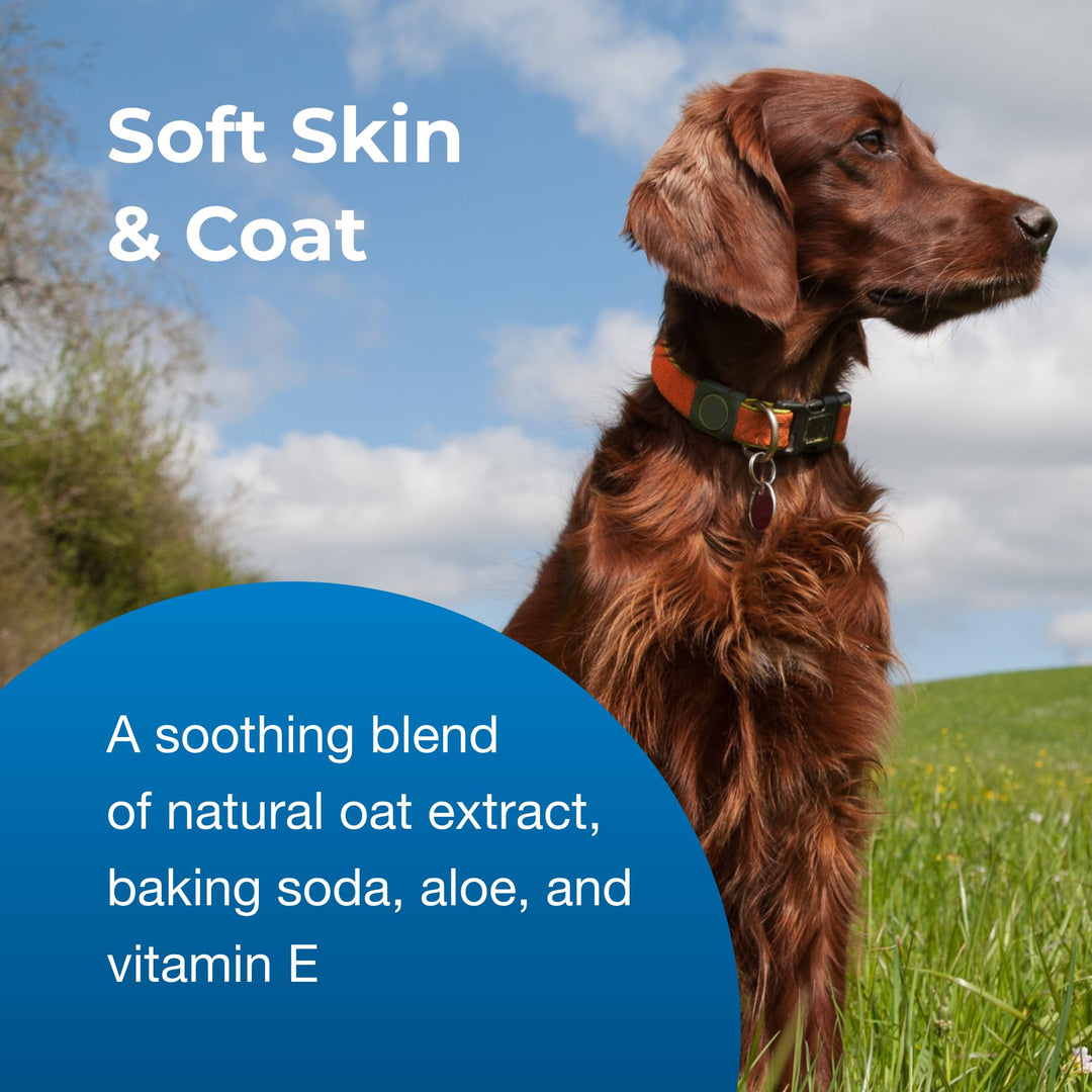 Fresh ’n Clean Oatmeal ’n Baking Soda Conditioner, Tropical Fresh Scent - 18 oz - Gently Cleans, Soothes &amp; Deodorizes Dogs with Vitamin E &amp; Aloe Vera - Soap Free