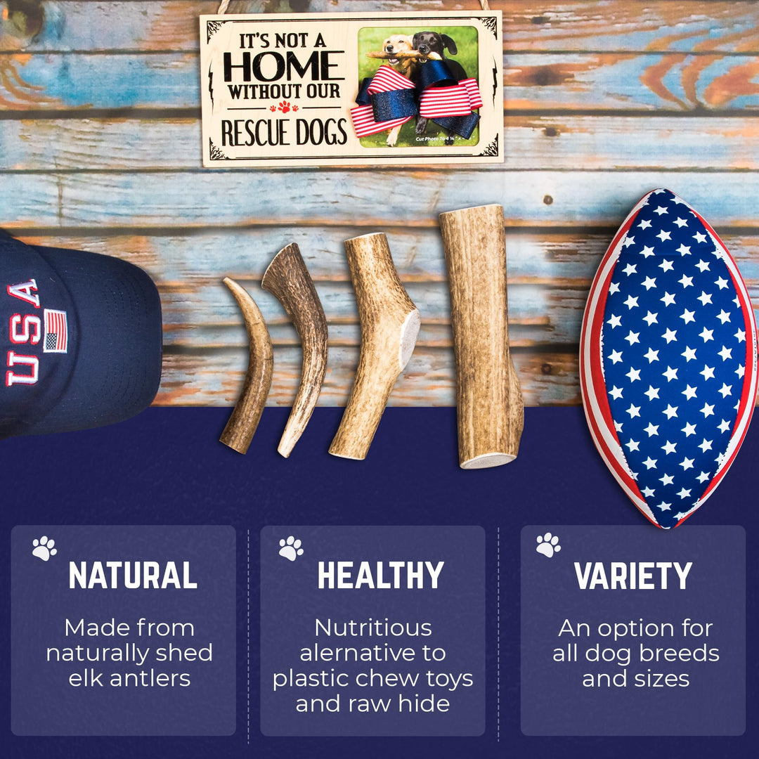 . Elk Antlers for Dogs, Large 6+, 1 Pack, Grade A Long Lasting Chew for Aggressive Chewers, Premium USA Naturally Shed Antler – Healthy, No Odor, Durable Dog Chew