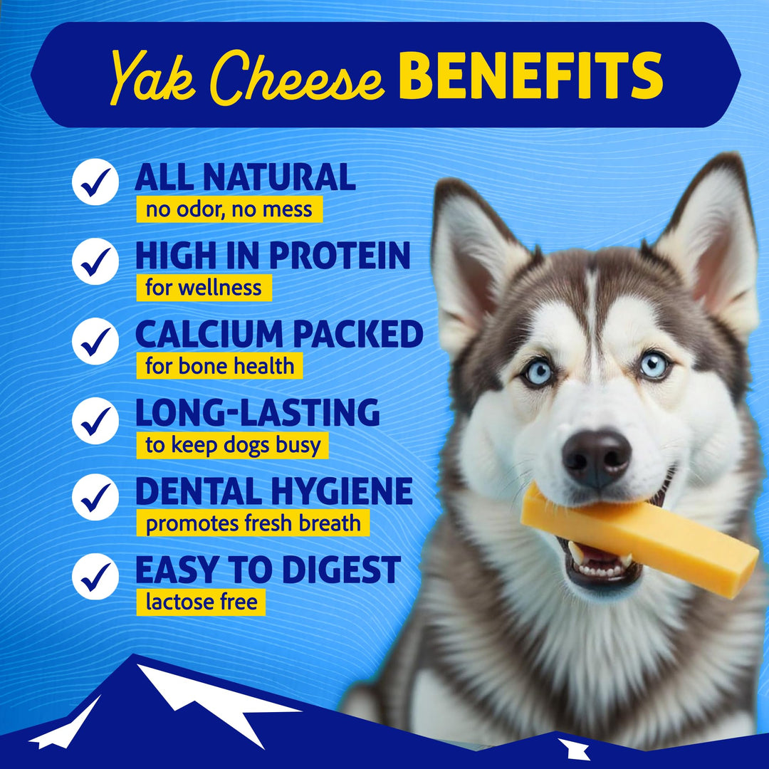 Original Yak Cheese Dog Chew, 3 XL/Large Sticks, 3.3 oz, Gluten Free, Healthy Dog Treats, Grain &amp; Lactose Free 100% Natural, Long Lasting Chews for Dogs Under 65 lbs